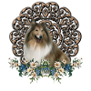 Cute collie with flowers