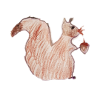 Squirrel Horny