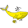 Whale in the sea.