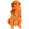 Chien éclairé