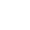 Snowy winter snowflake