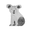 Little koala