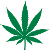Feuille de cannabis