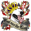 King Bull Terrier