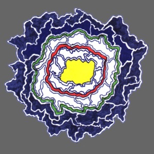 eilo - rosace