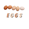 eggs