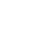 CEO