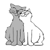 Cat love