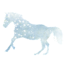 Noël cheval cadeau flocons arabes