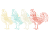 Chicken chickens
