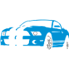 shelby_1