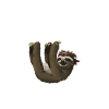 Paresse d'animaux d'esprit