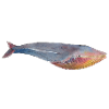 BlueWhale blue whale