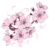 Flower Japanese Cool Gift
