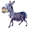 Donkey Morgenstund