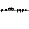 rhino