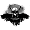 vikingskull
