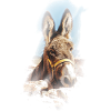 donkey