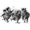 three happy owls