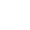 automobile