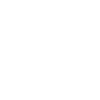 Computer Gamer