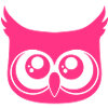 Cute Owl