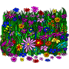 Blumenwiese: schöne, bunte Blumen