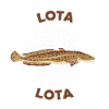 Lota Lota Quappe Freshwater Cod Winter Fish