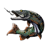 Sportsfisker shirt - gedde - rovdyrfiskeri - Esox
