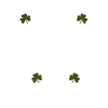 IRISH I CAN DRINK