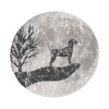 Dalmatian Drawing Used Look