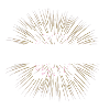 Fireworks with passion