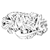 Graffiti - moment
