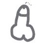 penis