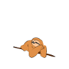Physics sloth