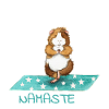 Yoga Namaste Cochon d'Inde