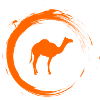 camel