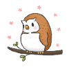 Eule