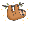 sloth