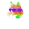 Edm begeisterte Regenbogen-Katze mit Kopfhörer-Geschenk