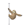 Cute sloth makes pole dance
