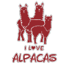 I love alpacas