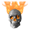 skull fire