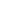 Oiseau canard