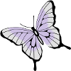 Schmetterling