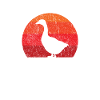 Jeu de mots drôle de canard
