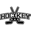 hockey_pro_f2