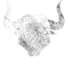 Taureau