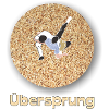 Schweizer Schwinger Design