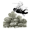 Plongée, plongeur, plongée